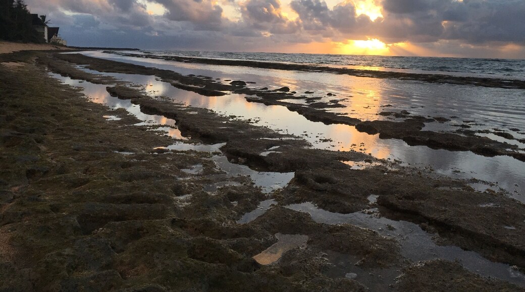 Kauai sunrise 💜🙌🏝
