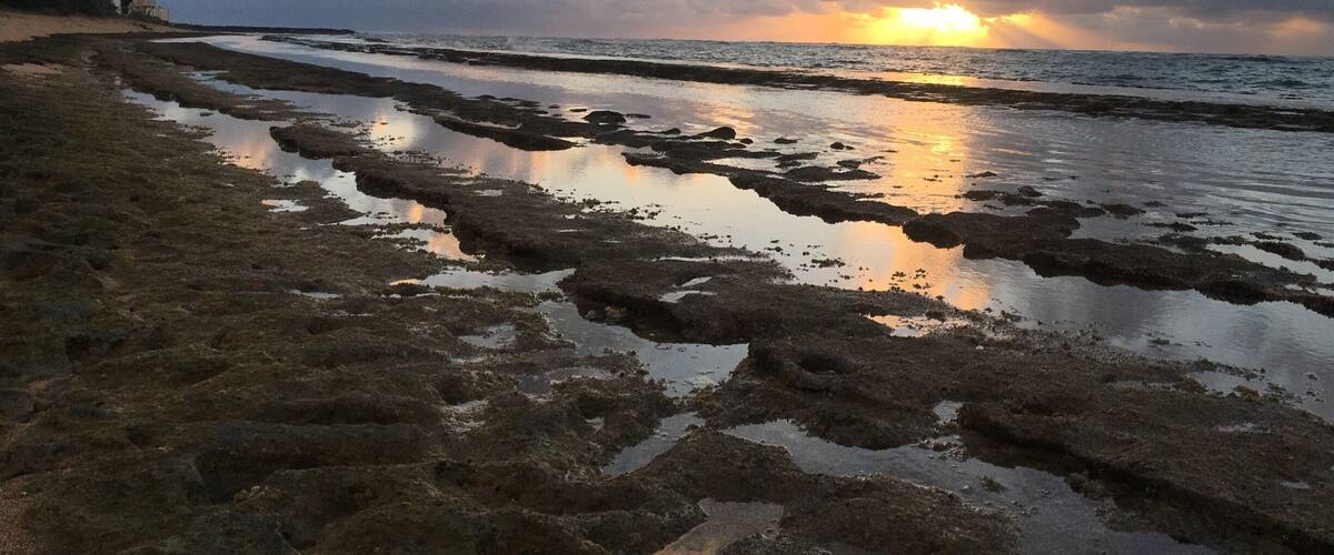 Kauai sunrise 💜🙌🏝