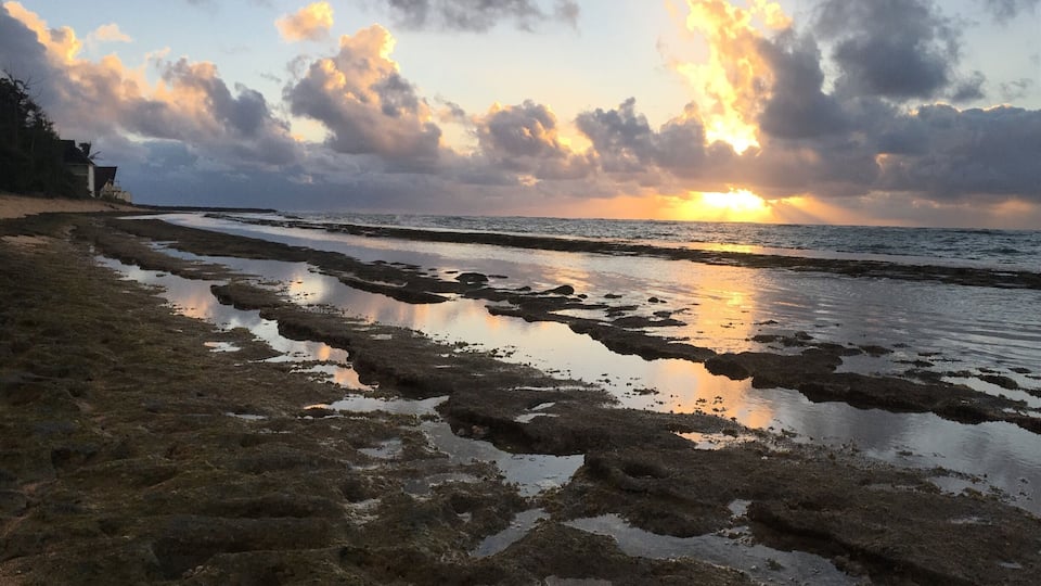 Kauai sunrise 💜🙌🏝