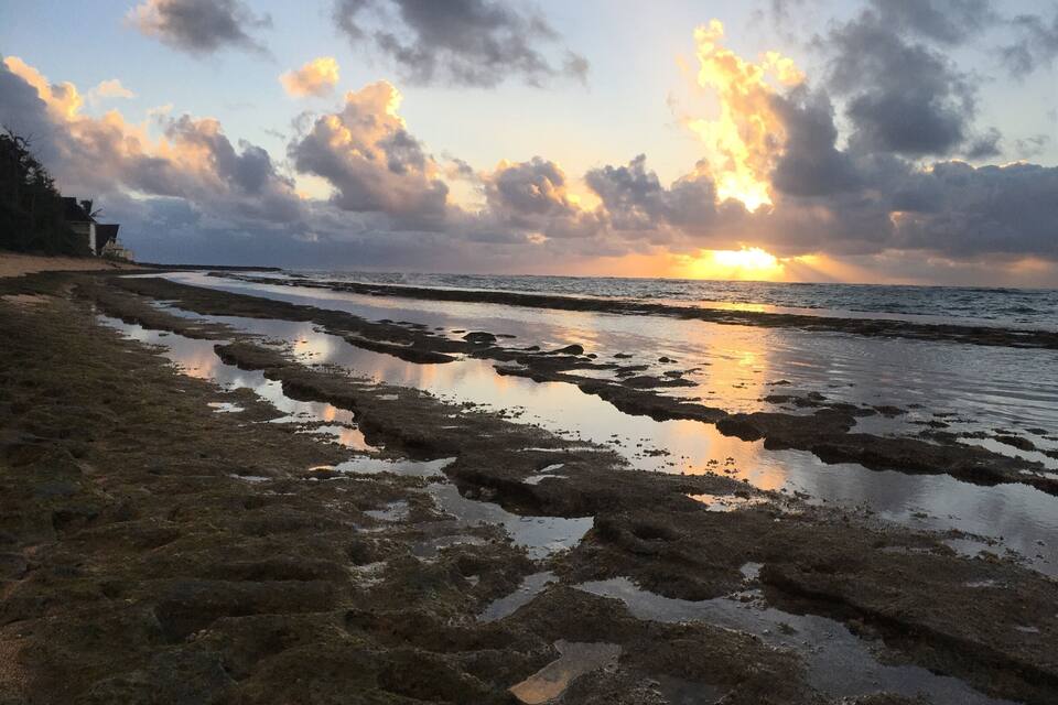 A rocky beach with water puddles reflecting the sunset.