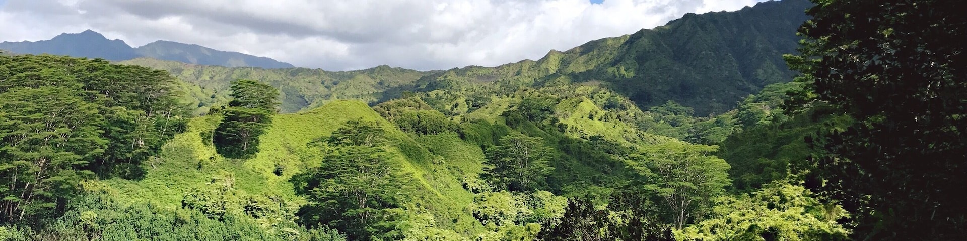 If you are looking for a fairly easy and beautiful hike I would definitely suggest the Kuilau Trail. 4 miles round trip and about 600 ft in elevation. #lifeatexpedia #kauai #hawaii