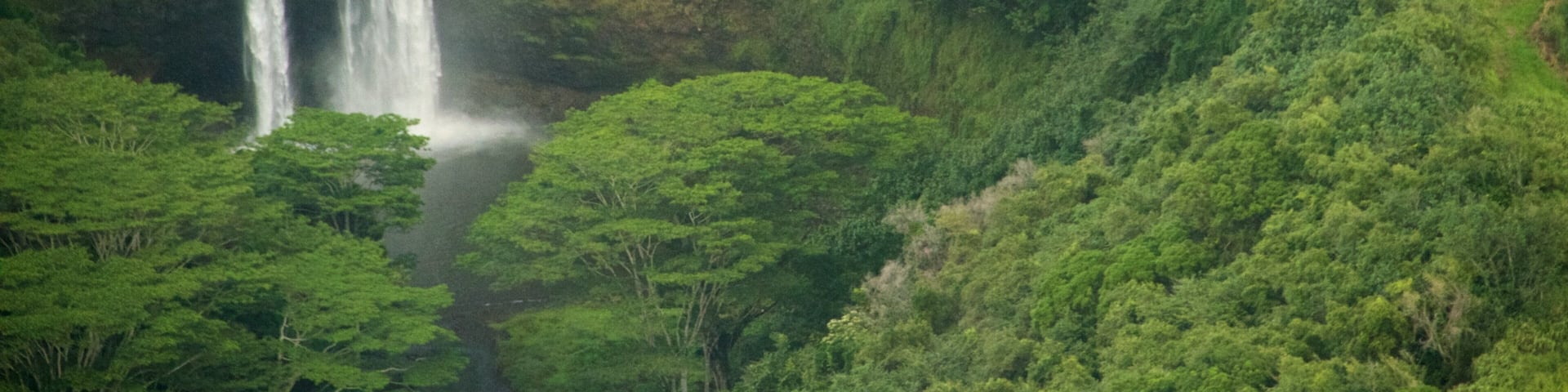 Kapaa featuring forests, a waterfall and mountains