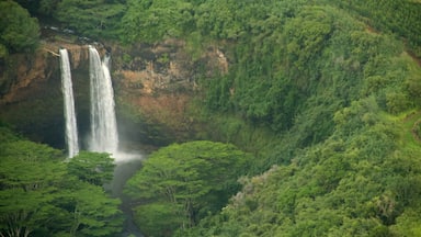 Kapaa showing a waterfall, mountains and forests