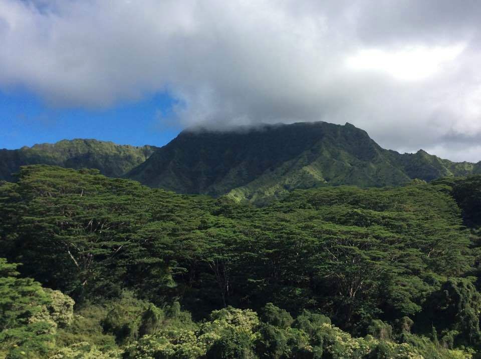 Mountain view from Kuilau Ridge Trailhead, Kauai, Hawaii