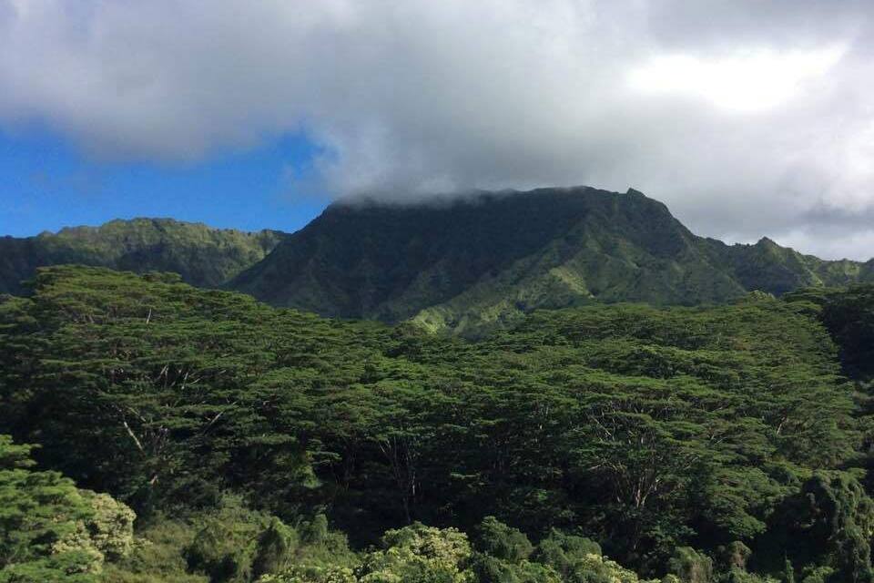 A lush green mountain range with dense forest coverage and a cloudy sky.