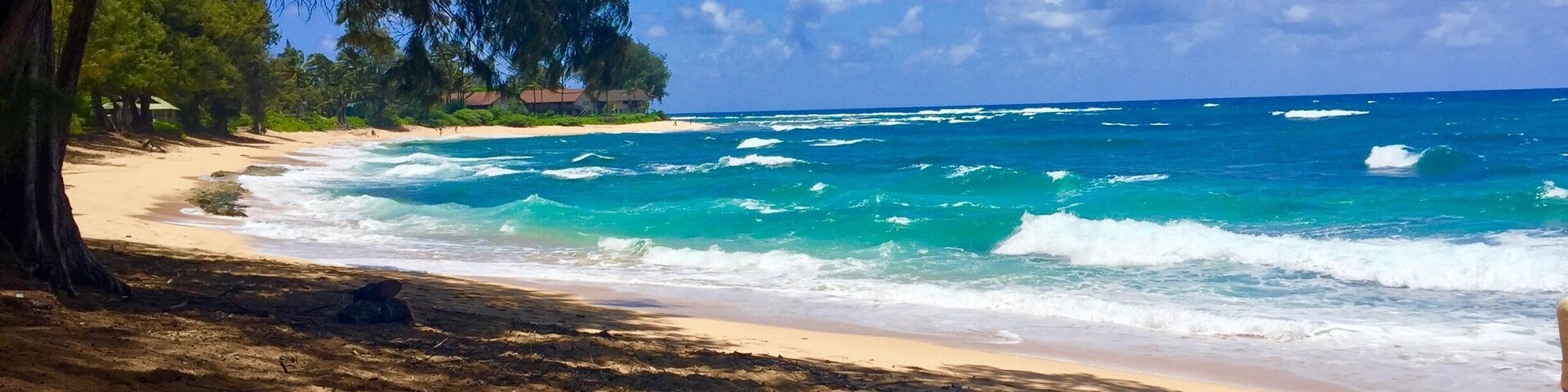 Una playa con olas turquesas, orilla arenosa y árboles verdes y frondosos.