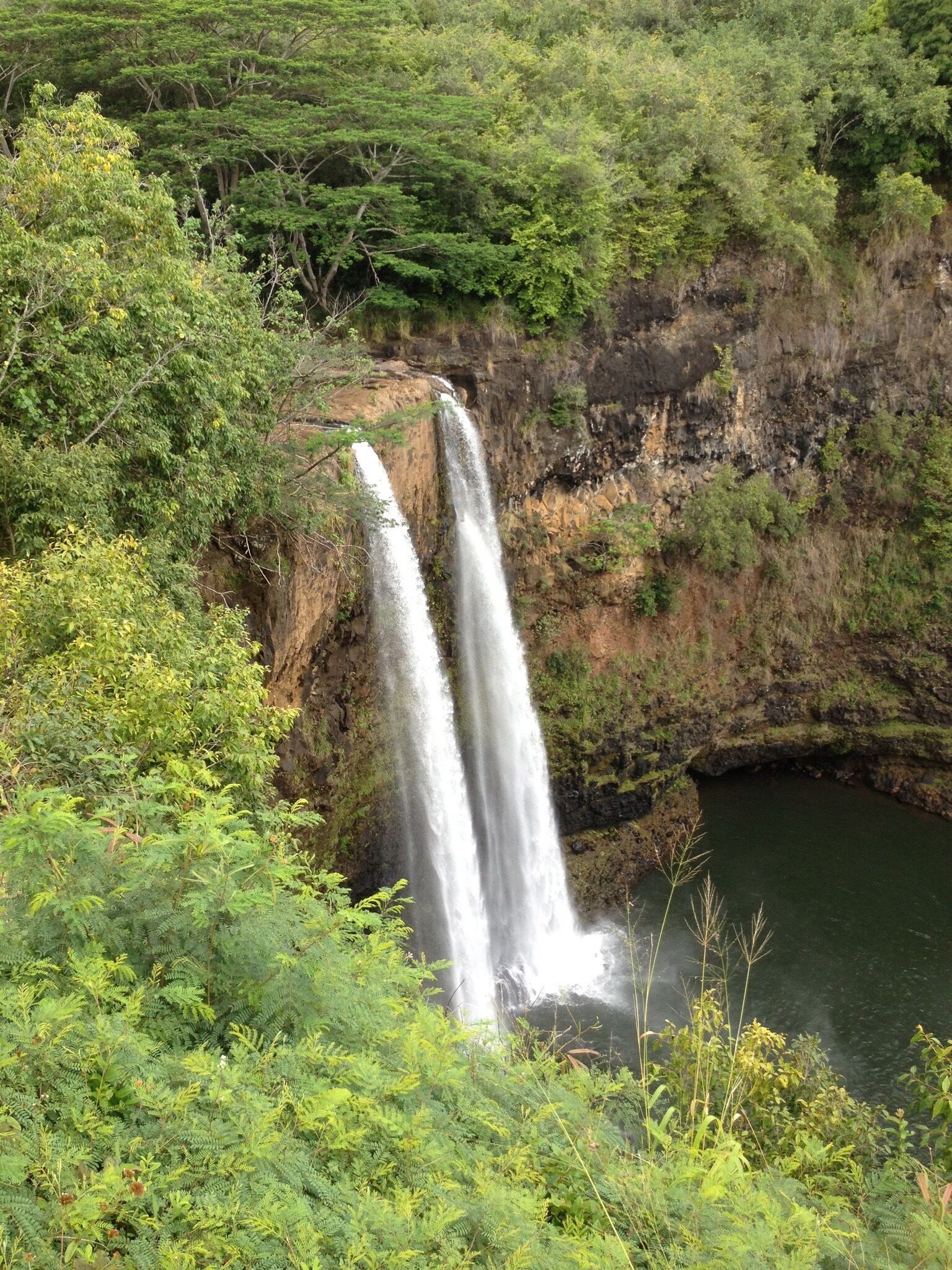 A waterfall cascading down a rocky cliff surrounded by dense green foliage.