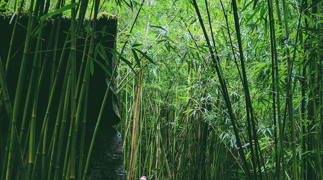 This trail doesn't look difficult from this spot but don't let that fool you
#adventure #hiking