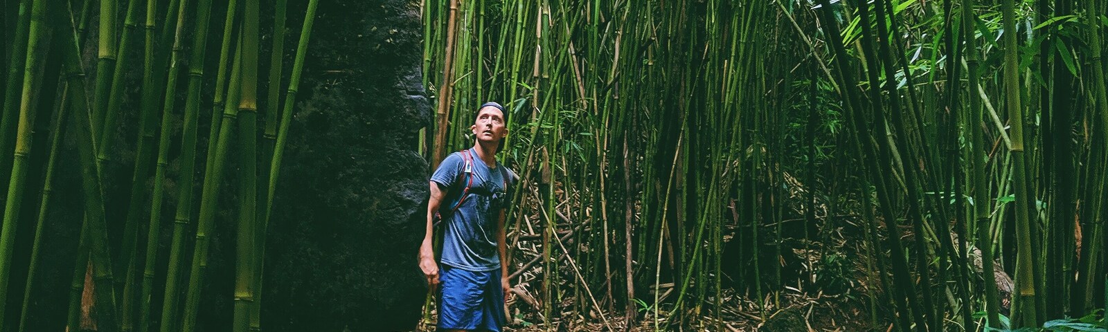 This trail doesn't look difficult from this spot but don't let that fool you
#adventure #hiking