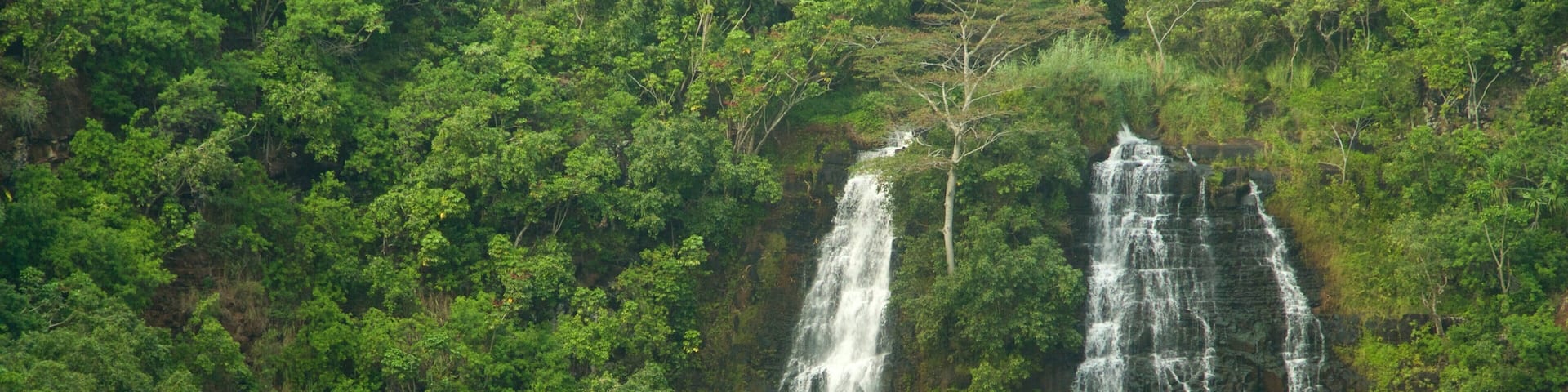 Kapaa featuring forests and a waterfall