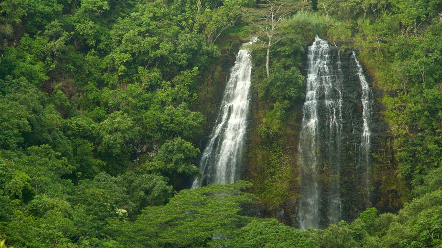 Kapaa featuring forests and a waterfall