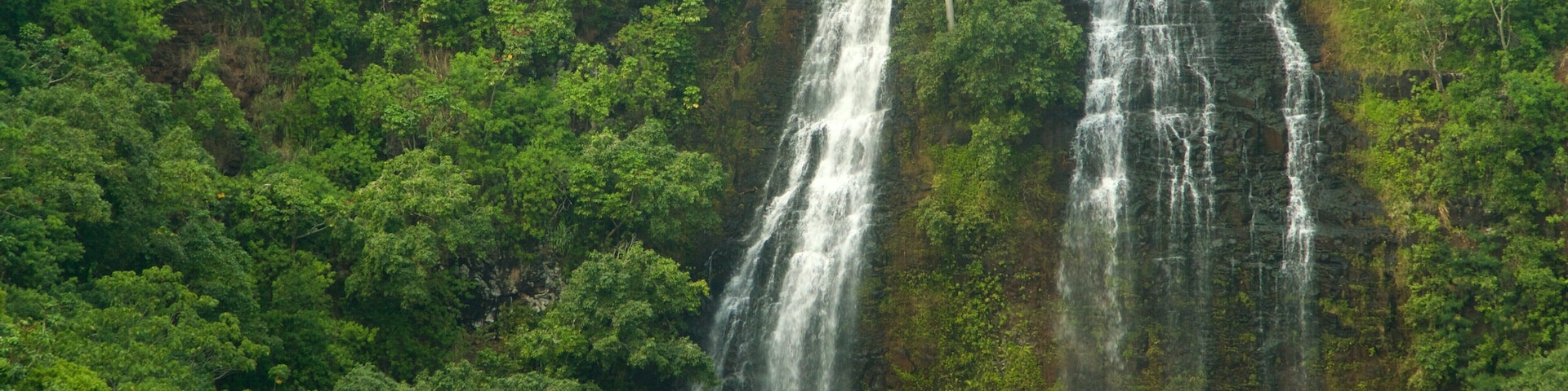 Kapaa featuring forests and a waterfall