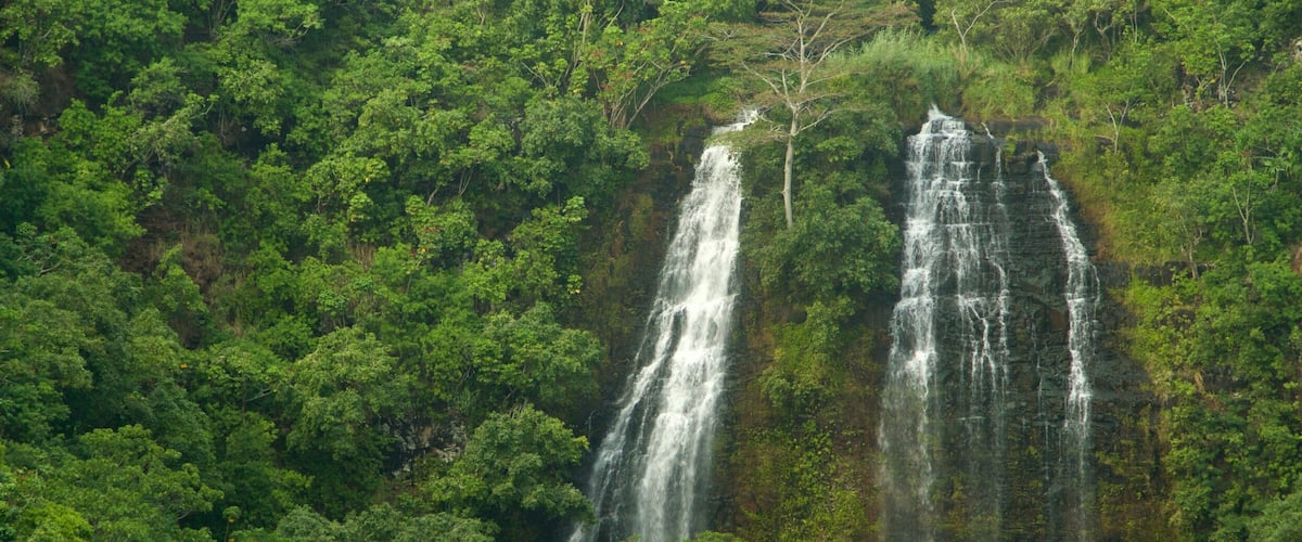 Kapaa featuring forests and a waterfall