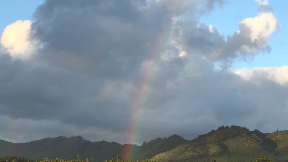 This is a tropical paradise! It seems like there are rainbows everywhere!
