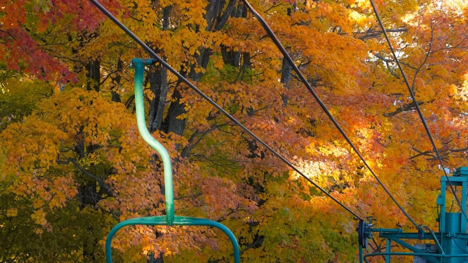 A cable car system amidst autumn-colored trees.