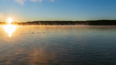 Sunrise with ducks swimming in rising mist on Walloon Lake, Michigan