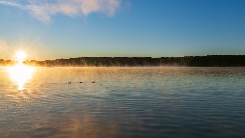 A calm lake at sunrise with the sun reflecting on the water and a misty forest in the background.