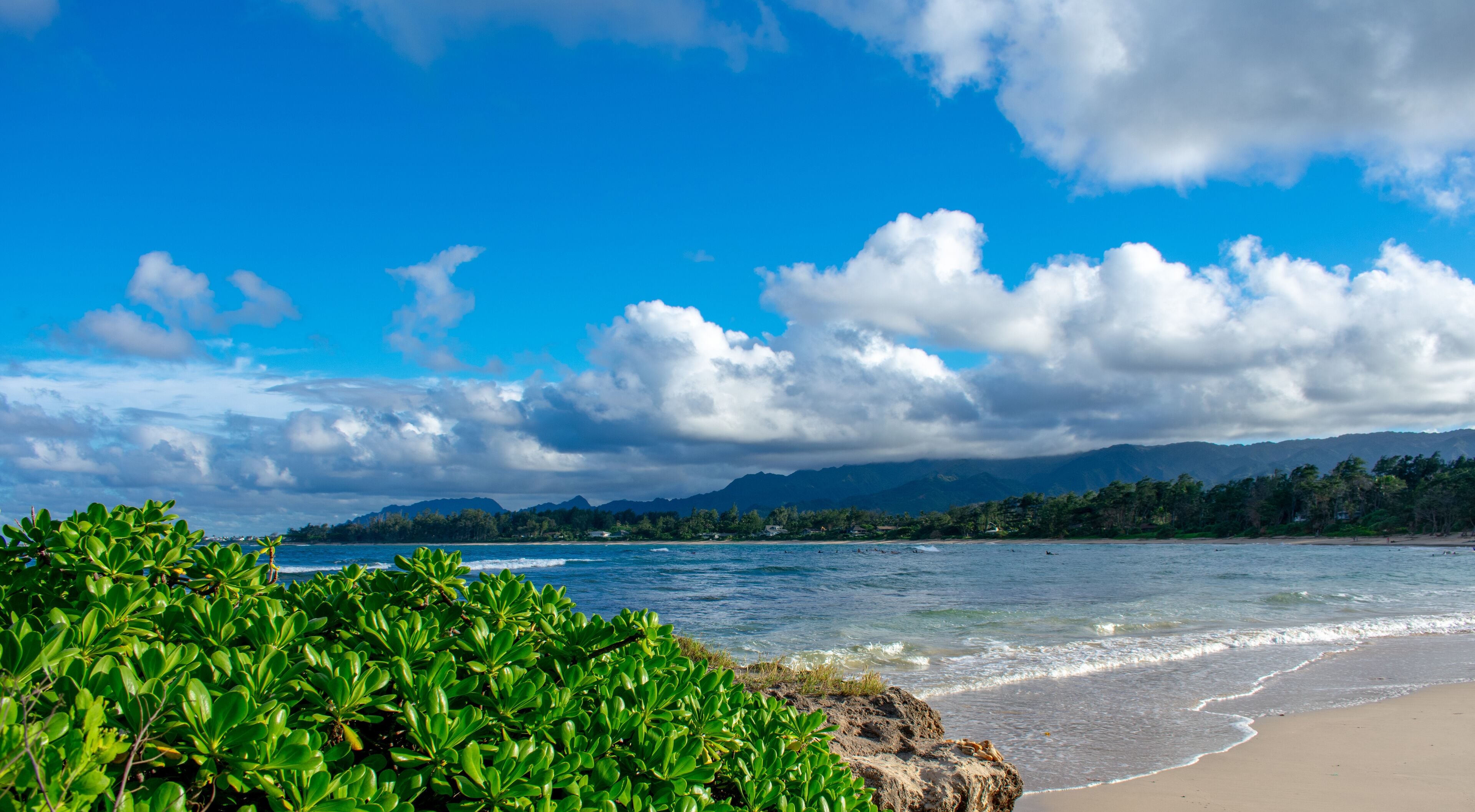 Gorgeous Tropical Island Beach in Hawaii