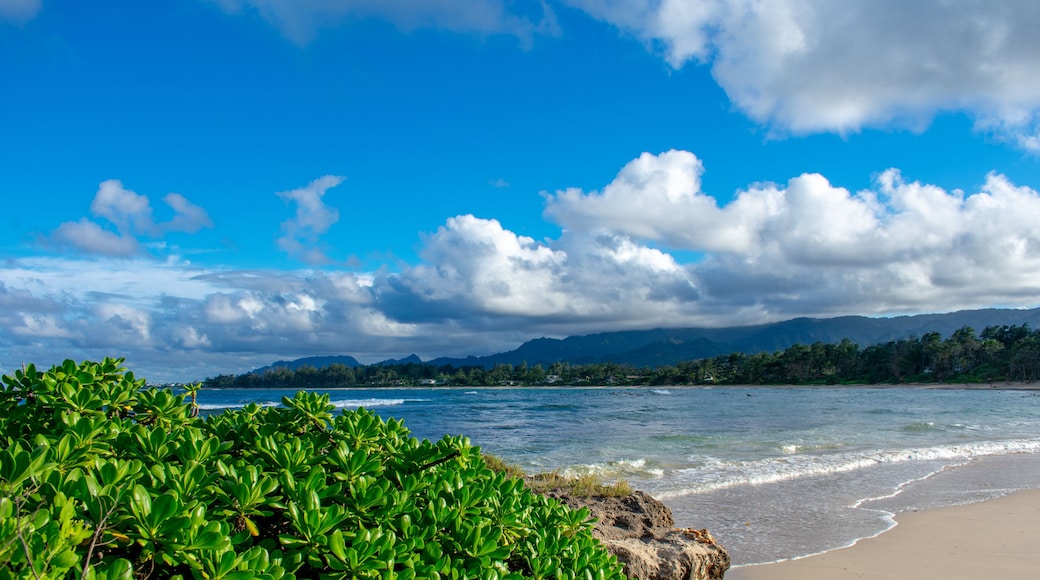 Gorgeous Tropical Island Beach in Hawaii