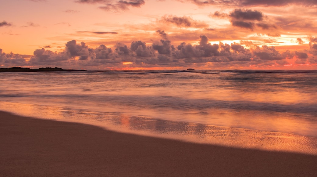 Colorful Tropical Island Sunrise