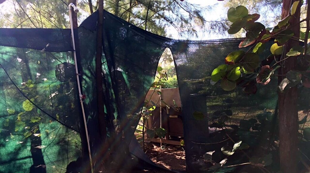This is the coolest shower I've ever seen...don't take me wrong..we love this place...if you guys plan to camp in Oahu...highly recommend...the beach is beautiful...so many nice food truck around...and we don't have the safe issue...
