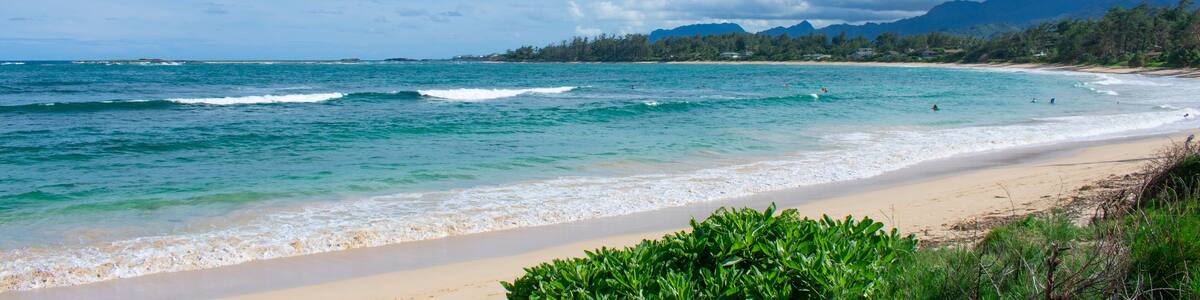 Gorgeous Tropical Island Beach in Hawaii