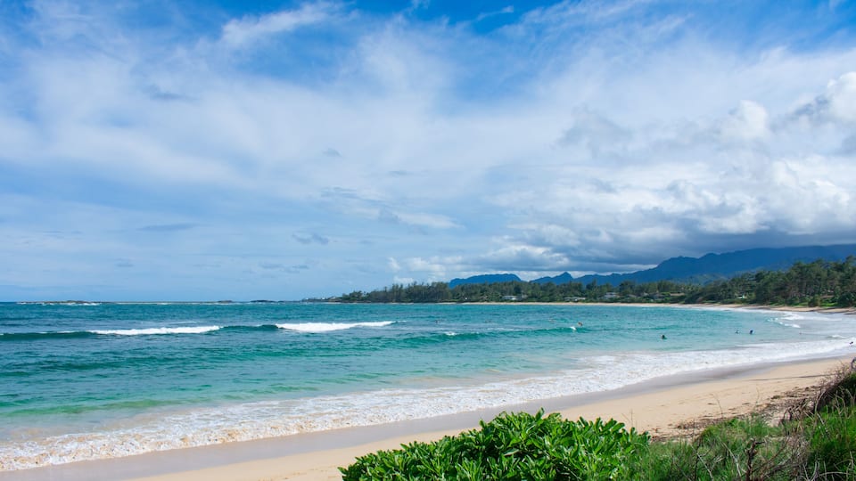 A beach with turquoise waters, a sandy shore, and a forested mountain range in the background.