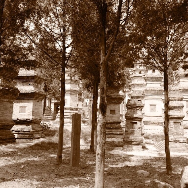 嵩山少林市塔林