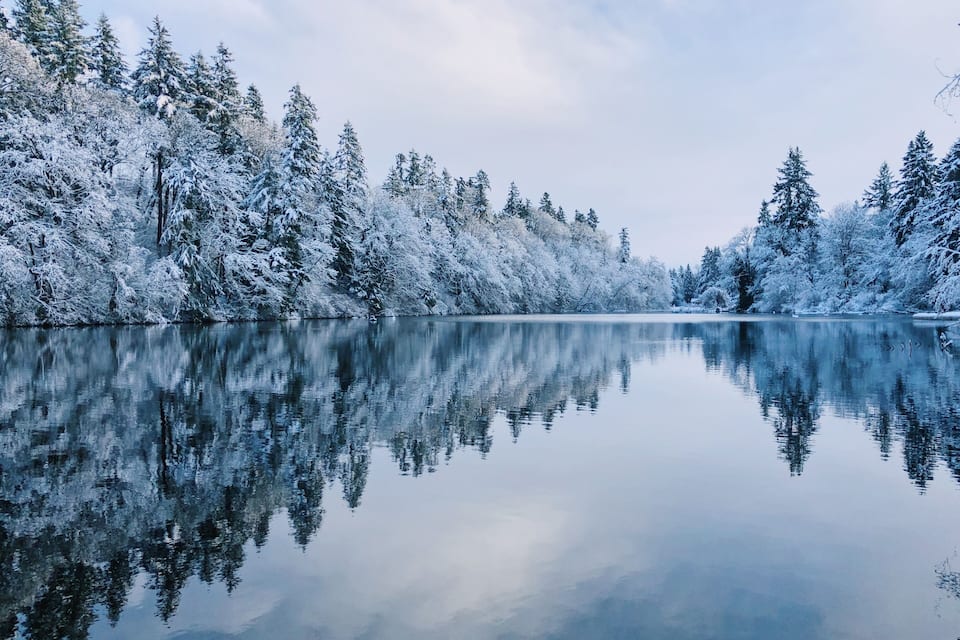 Un lago tranquilo rodeado de árboles cubiertos de nieve.