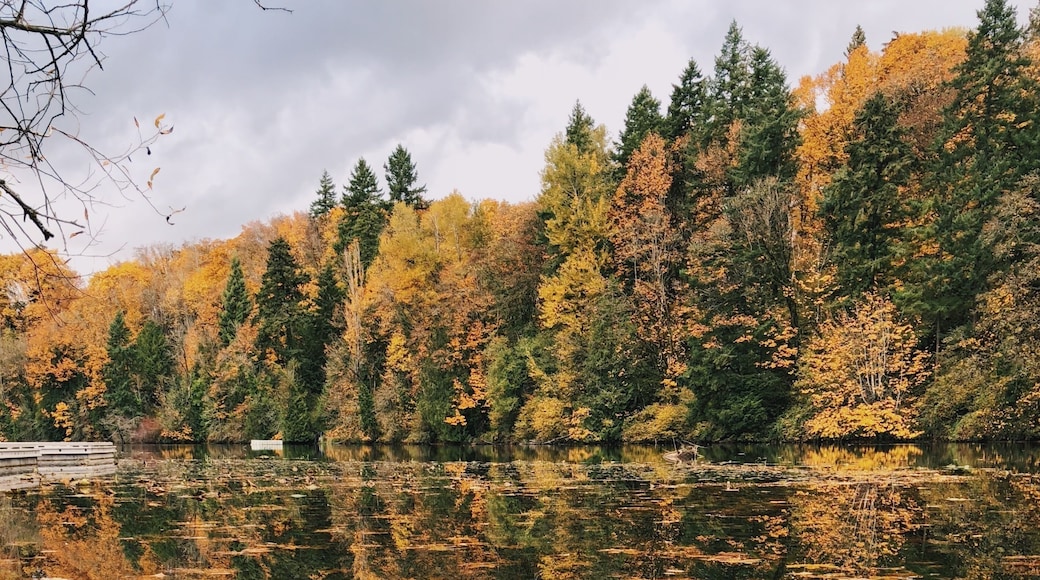 A little sad the fall season is almost over but definitely excited for snowy adventures. This is my favorite neighborhood park. It's a perfect place for relaxing by the lake, enjoying a lovely reflection, and running & walking the trail.