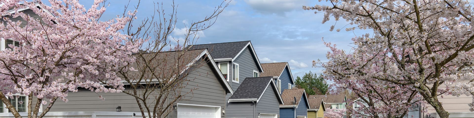 Neighborhood Spring blooms and homes in Kent Washington.