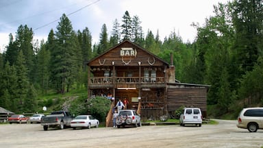 Kellogg che include oggetti d\'epoca e bar