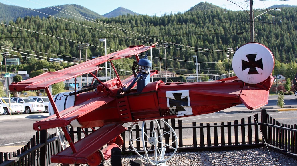 Kellogg featuring ulkotaide