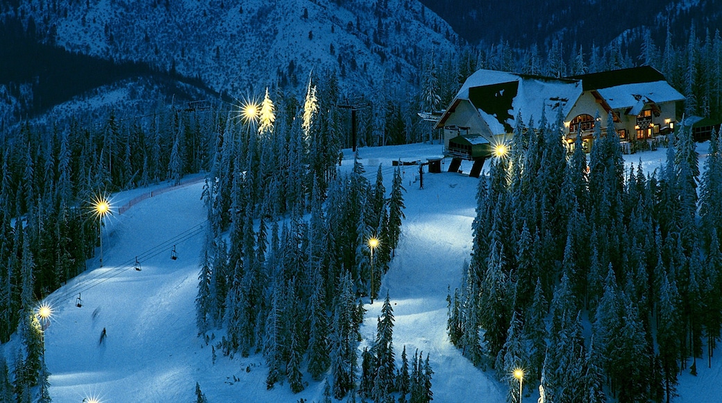 Kellogg featuring night scenes, snow and a gondola
