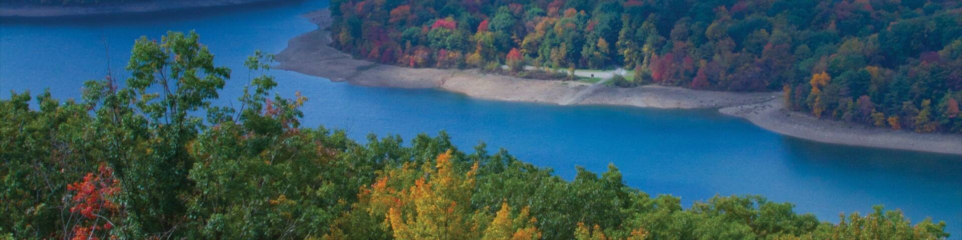 Bradford mostrando florestas e paisagem