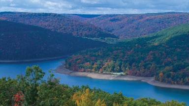 Bradford featuring landscape views and forest scenes