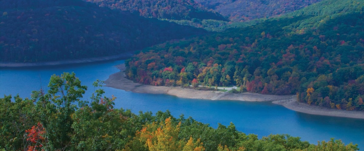 Bradford featuring forests and landscape views