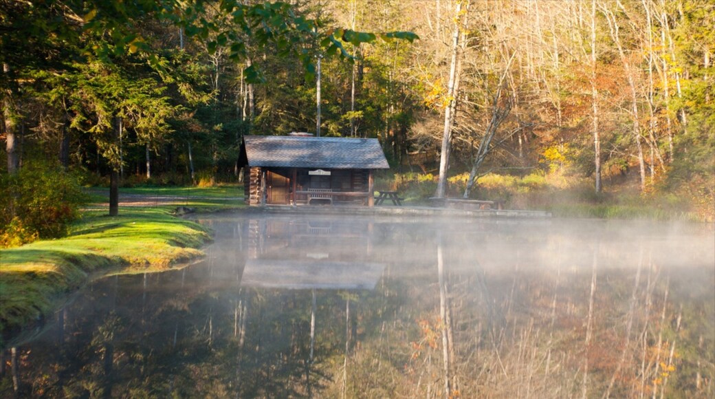Bradford showing a house, forests and a pond