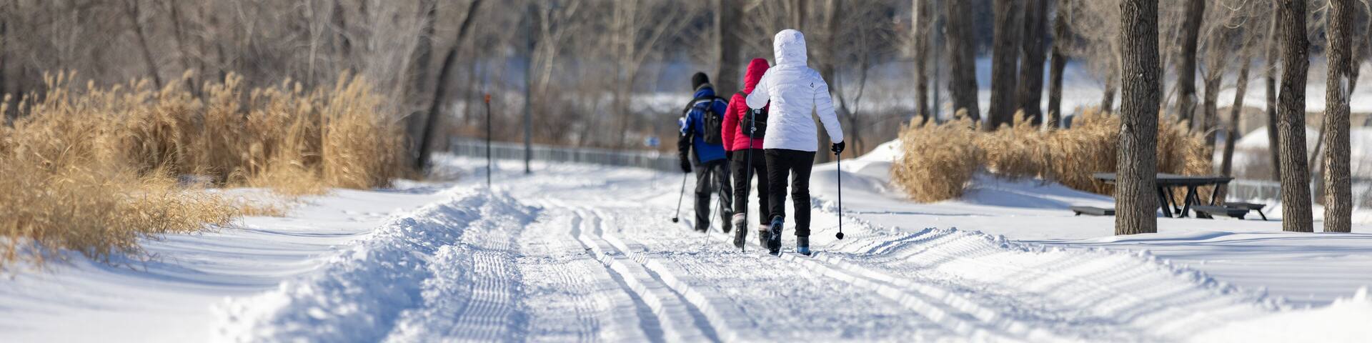 Cross country skiing in a park during winter