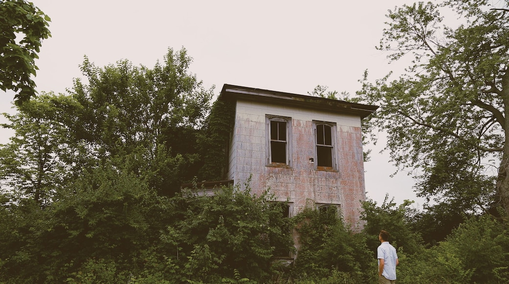 an abandoned house off of kropp road in grove city, ohio. i love the colors left behind.