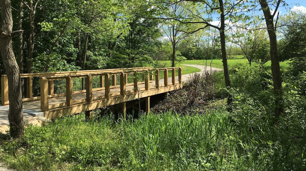 New park called Scioto Grove Metropark. Great place for short or long walks or even jogs. Also a trail along which at spots one can campout at. Also a nice playground for kids at the park.
#hiking