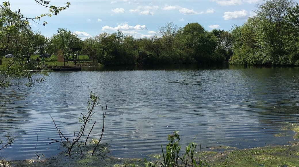 "The Little Guilin"- #Buquan River in the Long'an County of #Nanning.#隆安布泉河
https://twitter.com/Beautifulgx