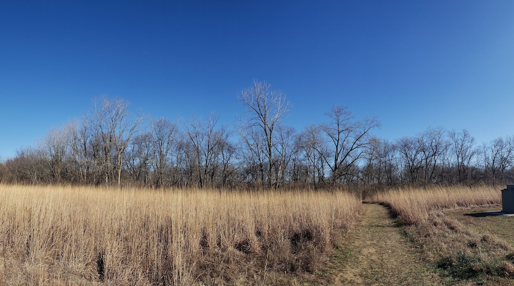 Scioto Grove Metro Park in Autumn, Grove City, Ohio