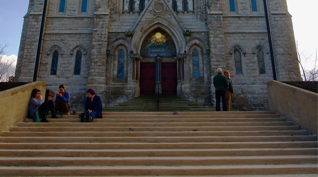 National Historic Sites of Canada: Basilica of Our Lady Immaculate
This is a must see and highest viewpoint from any area in Guelph.
#Canada #Ontario #Guelph #architecture #cathedral #basilica