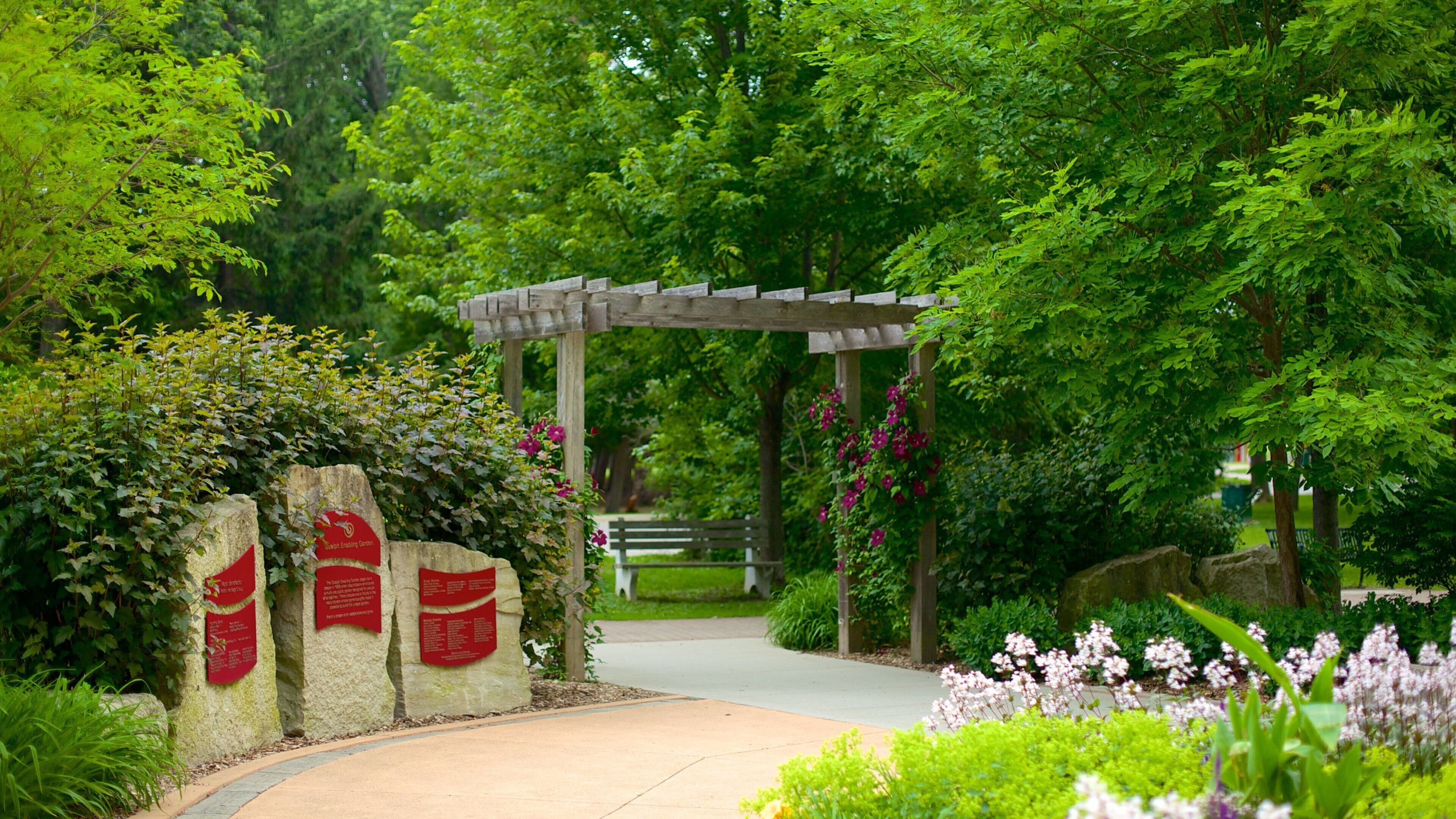 Guelph showing a park