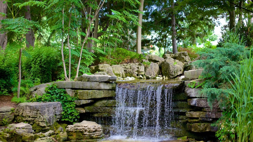 A waterfall cascading over rocks in a forested area.