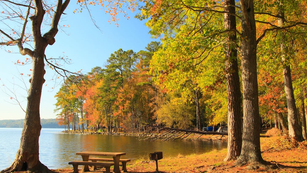 Town Creek Campground, Lake Guntersville Resort State Park, Guntersville, Alabama, USA