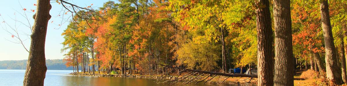 Town Creek Campground, Lake Guntersville Resort State Park, Guntersville, Alabama, USA