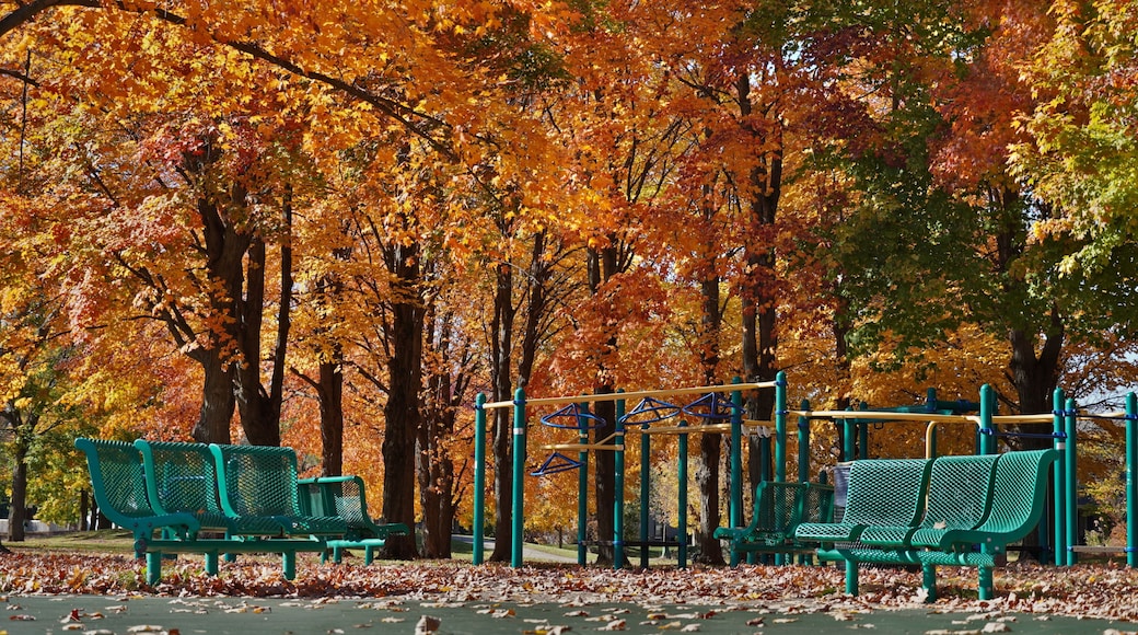 Grosse Point Park located in Vernon Hills, USA 10272024