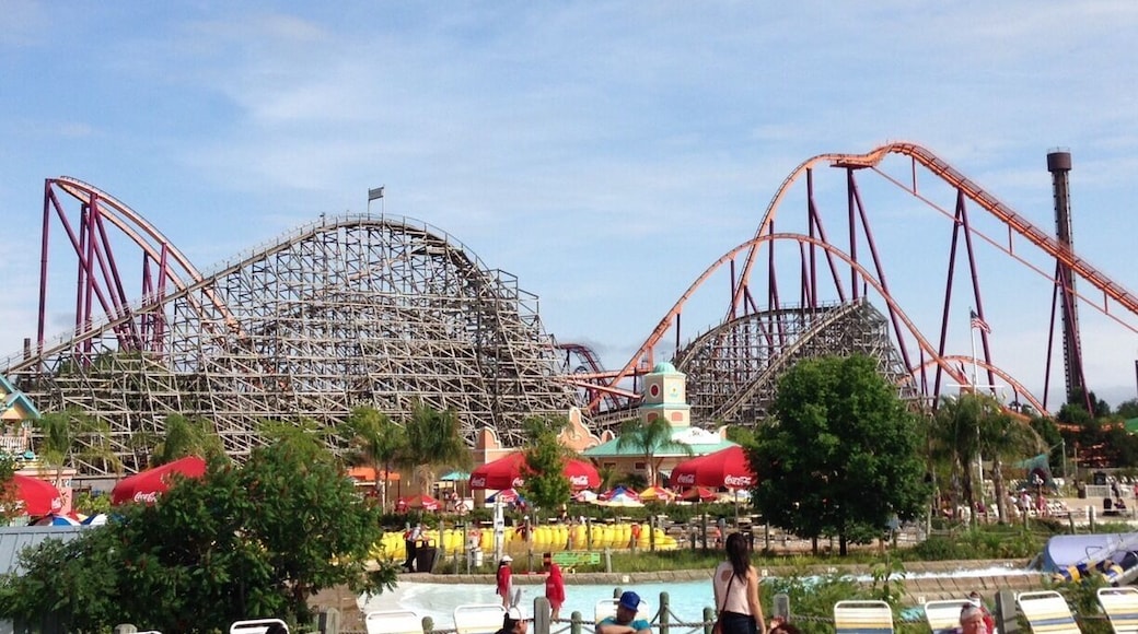 Viper and Raging Bull
And. Beautiful day